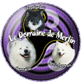 du Domaine de Merlin